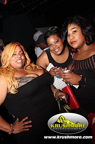 2013 Flag Party 051