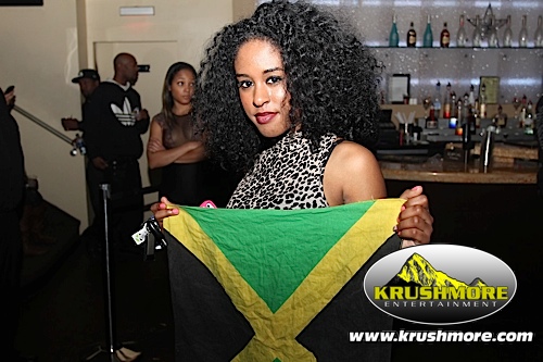 Flag Night 022