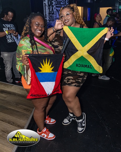 flag party 022