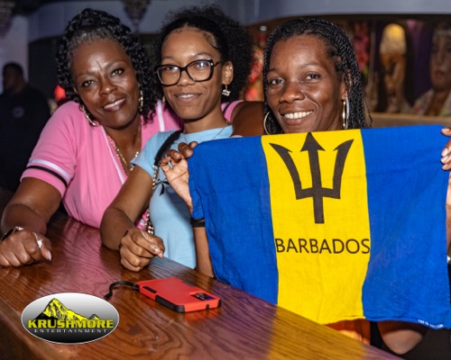 flag party 029