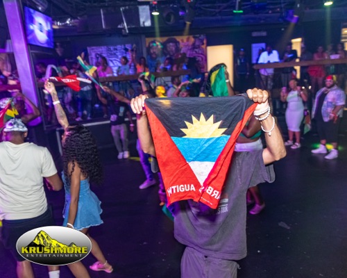 flag party 069
