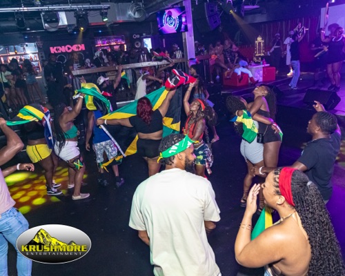 flag party 079