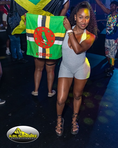 flag party 083