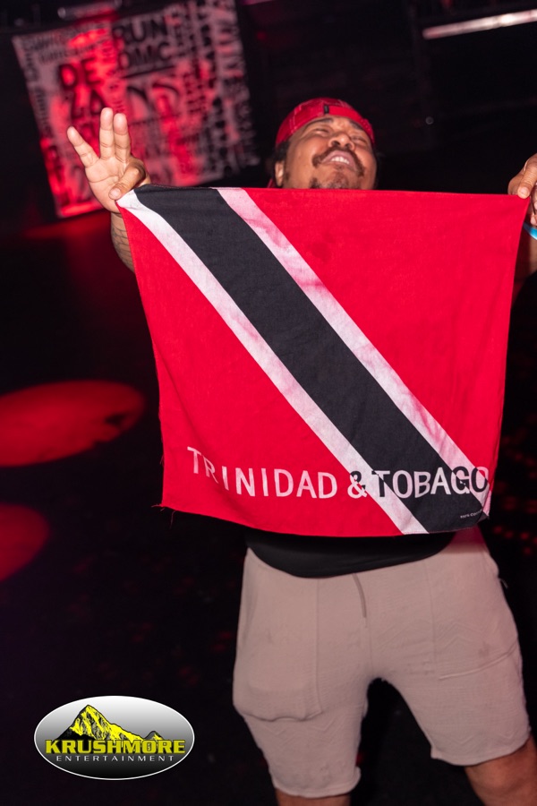 flag party 05