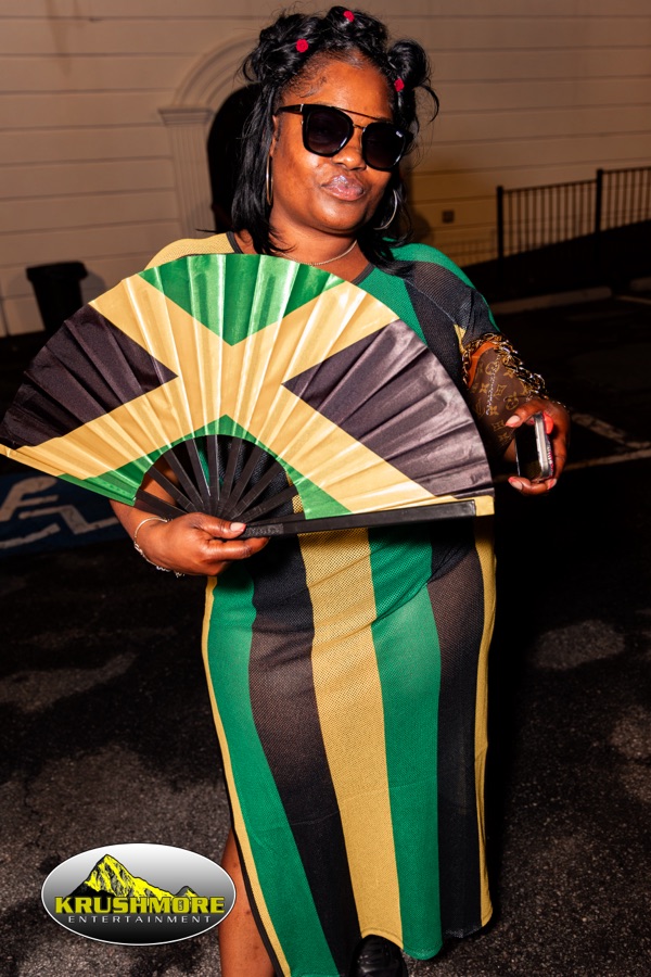 flag party 06